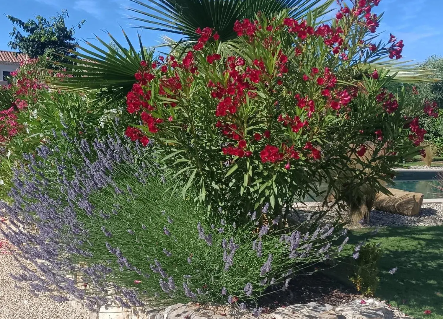 Douce Provence Magnifique Appartement Neuf Avec Jardin Proche Du Centre Ville ヴェゾン・ラ・ロメーヌ